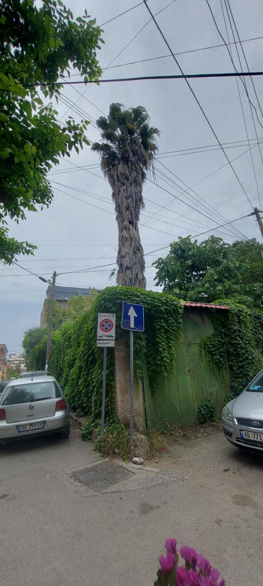 La Piccola Bellezza Appartement Tirana